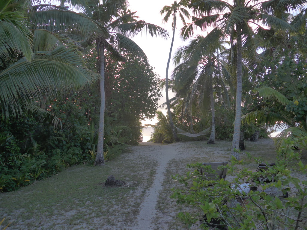 Front-yard path to hammock and Pacific Ocean beach.